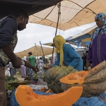 Meloenen op markt in Marokko Meloenen op markt in Marokko