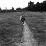 Jongetje op heide Jongetje op heide