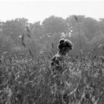 Meisje in korenveld Meisje in korenveld
