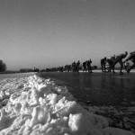 Elfstedentocht Elfstedentocht