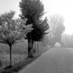 Dordogne Frankrijk Dordogne Frankrijk