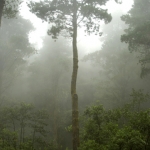 La Palma Spanje La Palma Spanje