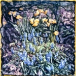 Blauwe druifjes Blauwe druifjes