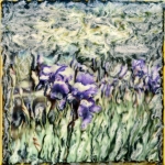 Irissen Irissen