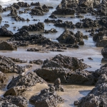 Lavagesteente kust Rabat Marokko Lavagesteente kust Rabat Marokko