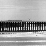 Paalhoofden Cadzand Paalhoofden Cadzand