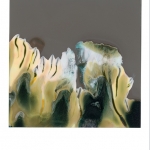 Pola-002 Pola-002