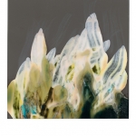 Pola-003 Pola-003