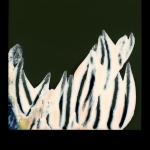 Pola-004 Pola-004