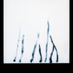 Pola-005 Pola-005