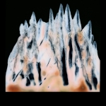 Pola-006 Pola-006