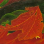 Herfst Herfst