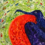 Fregatebird Fregatebird