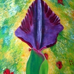 Voodoo Lily Voodoo Lily
