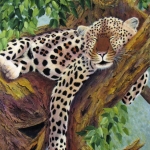 SLEEPING BEAUTY