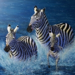 WILD AND WET