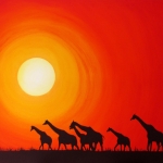 SUNSET SAVANNAH