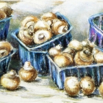 Champignons Champignons