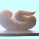 Foetus Foetus