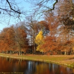 herfst herfst