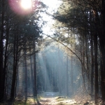 Zonnestralen Zonnestralen
