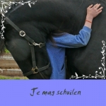 schuilen schuilen