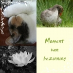 bezinning bezinning