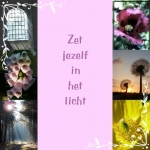 licht licht