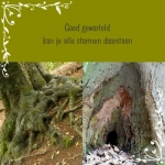 geworteld geworteld