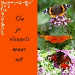 vleugels vleugels