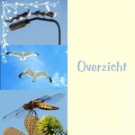 overzicht overzicht