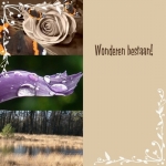wonderen wonderen