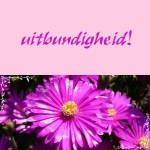 uitbundigheid uitbundigheid