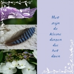 kleine dingen kleine dingen