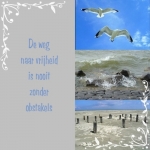 vrijheid vrijheid