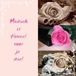 muziek muziek