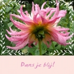 dans dans
