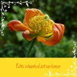 schoonheid schoonheid