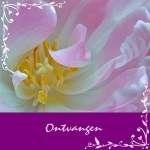 ontvangen ontvangen