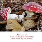 vallen en opstaan vallen en opstaan