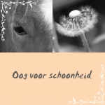 oog voor schoonheid oog voor schoonheid