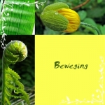beweging beweging