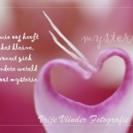 mysterie mysterie