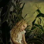 Sweet Corn Sweet Corn