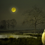 Full Moon Full Moon
