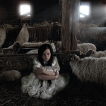 All sheep 2? All sheep 2?