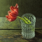 Tulpen Tulpen