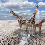 Carry water to the desert Carry water to the desert