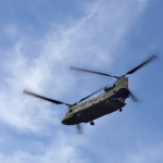 Chinook Chinook