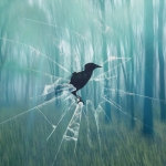 The Raven The Raven